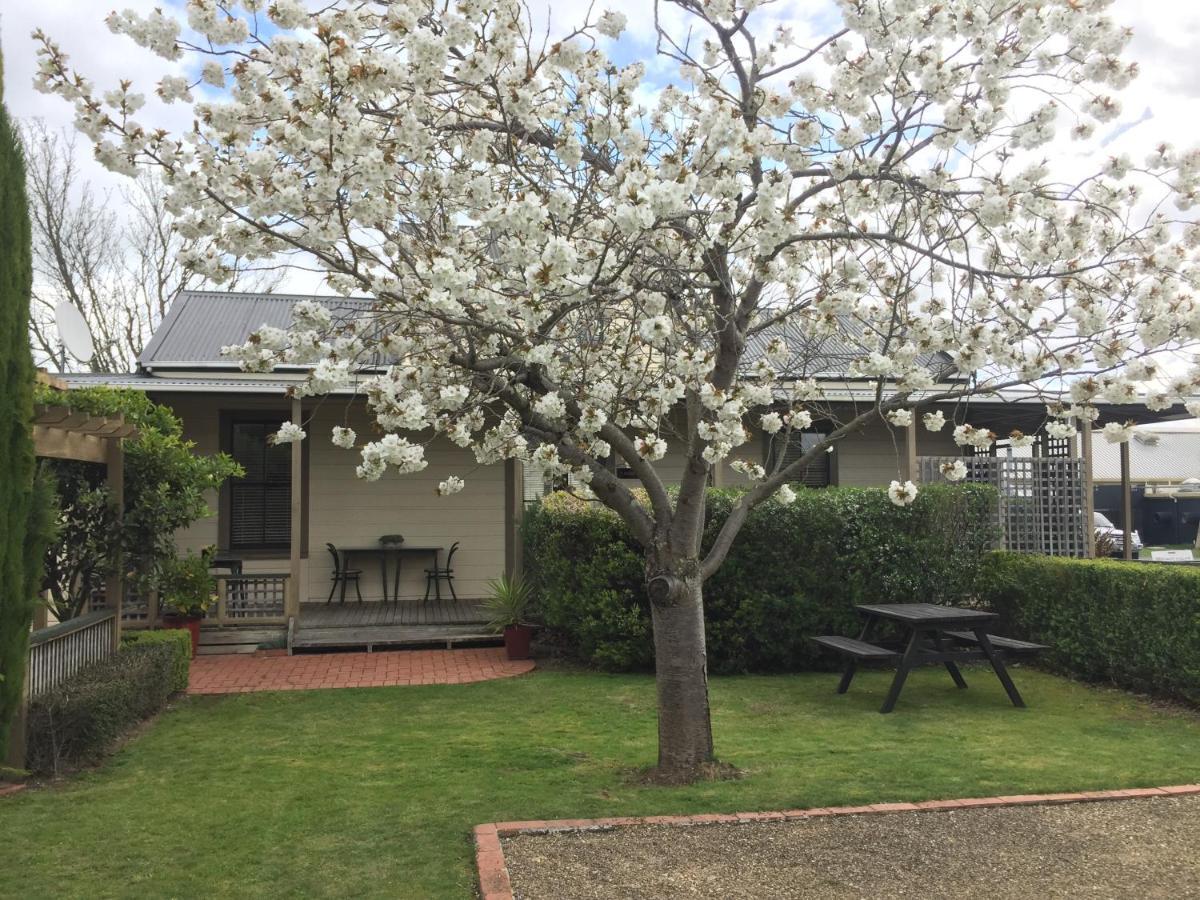 Pinot Villas Martinborough Exterior photo